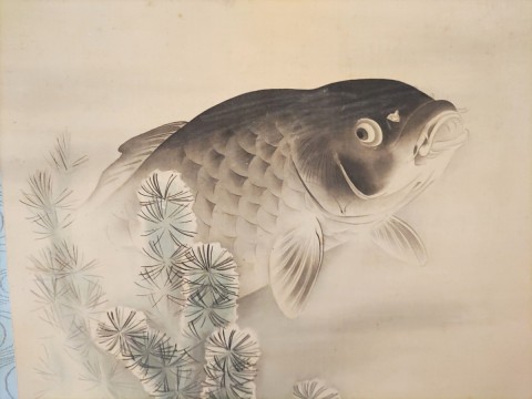  Green algae and carp