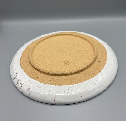  Ryusokairagi, Plate