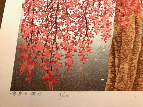 Weeping cherry 27