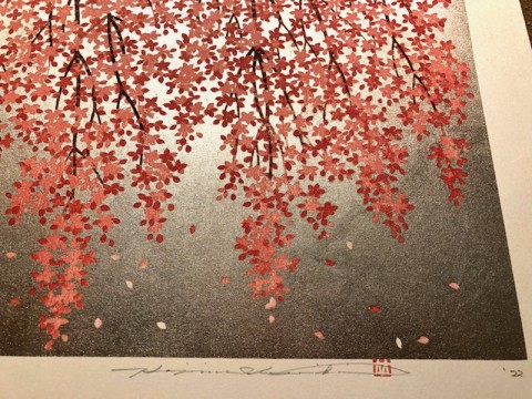 Weeping cherry 27