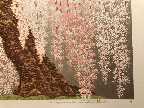 Fuse-hime zakura