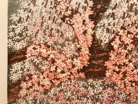Fuse-hime zakura